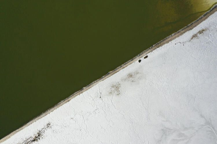 Eskişehir'de bulundu! Piyasa değeri 20 bin dolar! - Sayfa 5