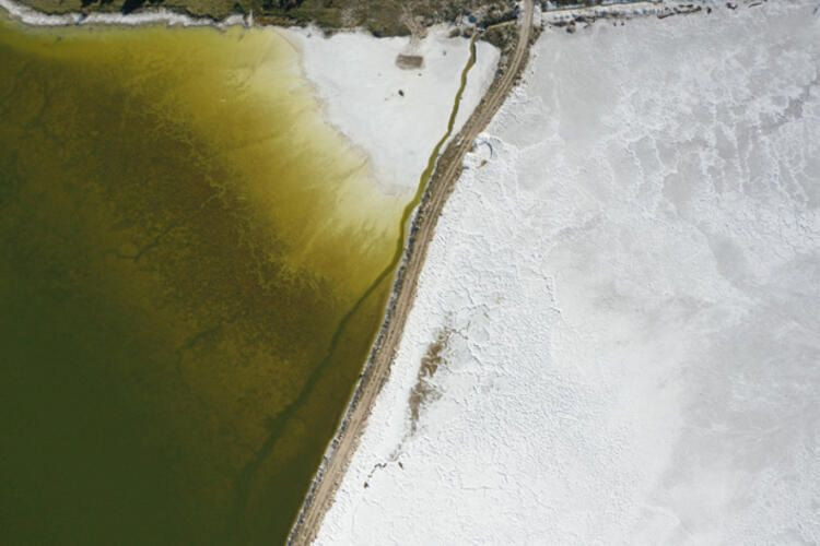 Eskişehir'de bulundu! Piyasa değeri 20 bin dolar! - Sayfa 6