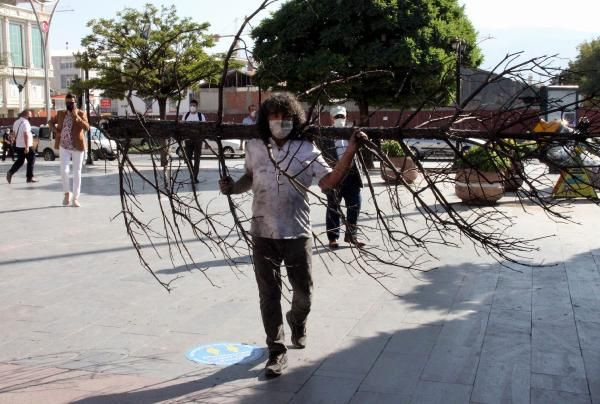 Profesörden yanmış ağaçla dikkat çeken eylem - Sayfa 5