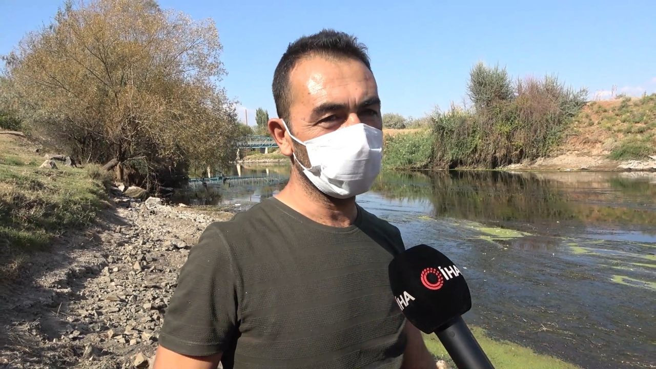 Kızılırmak kuruyor! Balık ölümleri başladı - Sayfa 5
