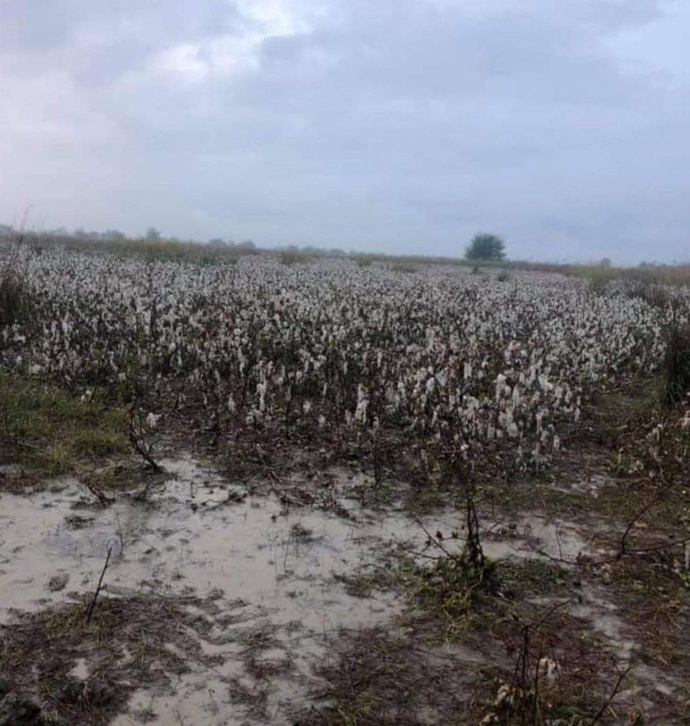 Antalya'da fırtına ve dolu can aldı - Sayfa 15