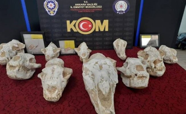 Adnan Oktar'ın evlerinden 10 milyon dolarlık fosiller çıktı! - Sayfa 5