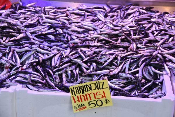 Hamsinin kilosu 50 liraya çıktı, fiyatı gören tezgahtan döndü - Sayfa 5