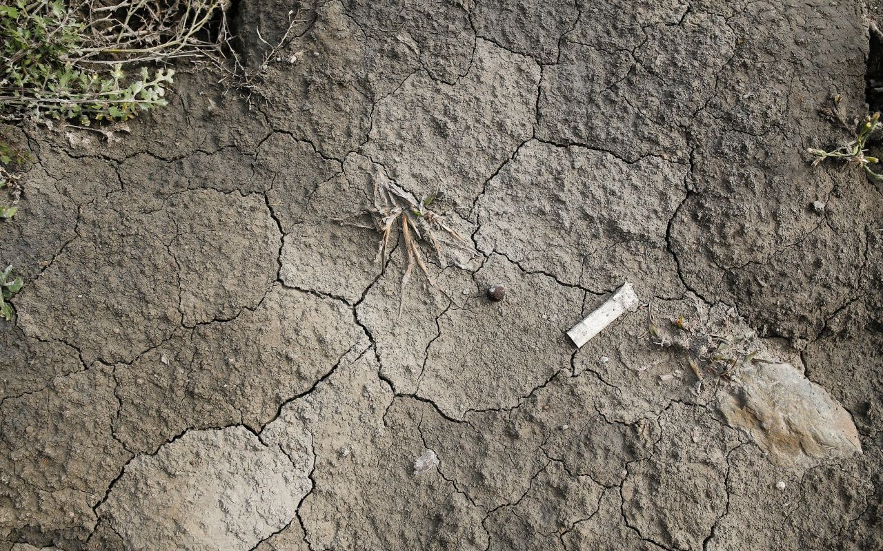 İstanbul'un barajları bir bir kuruyor - Sayfa 5