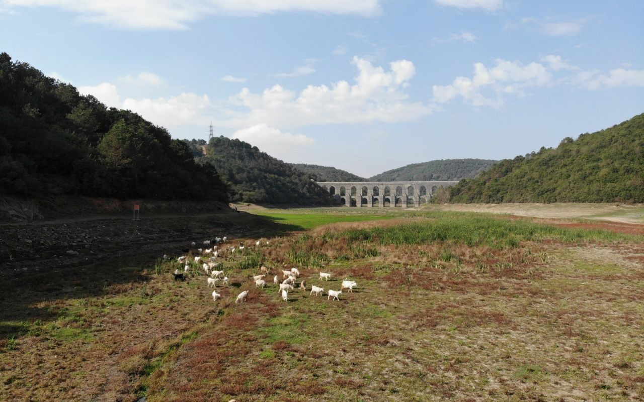 İstanbul'un barajları bir bir kuruyor - Sayfa 7