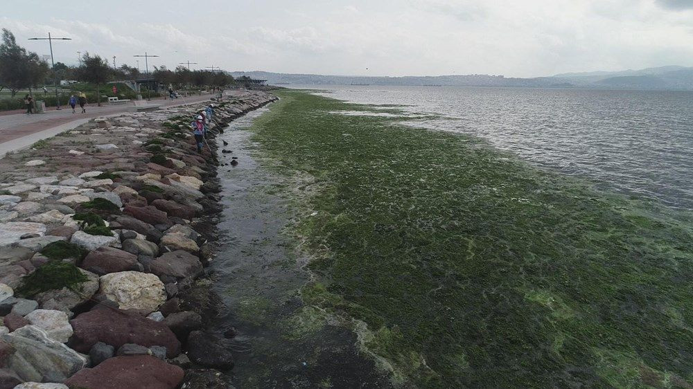 İzmir sahilini kötü koku sardı - Sayfa 7