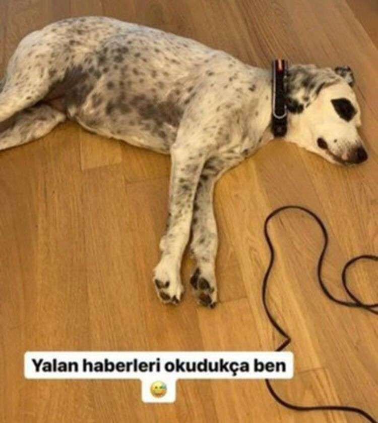 Kaan Yıldırım'dan Hadise cevabı! - Sayfa 7