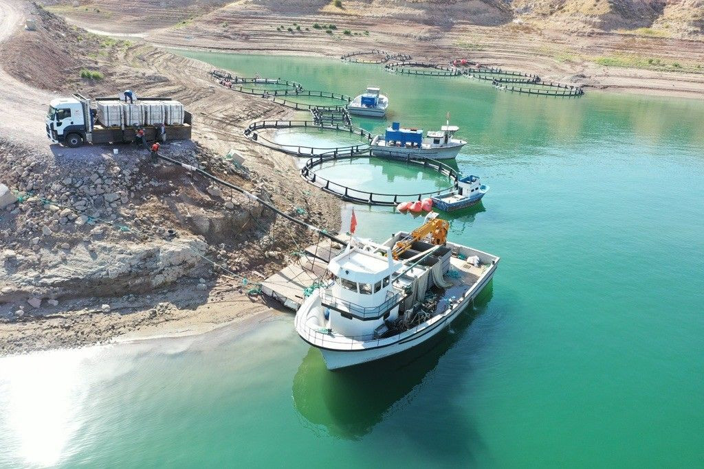 Denizi olmayan Kayseri'den 'Somon' ihracatı - Sayfa 13