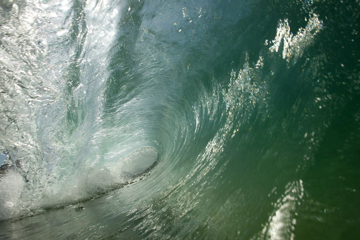 Köpek balıklarıyla yüzmek isteyen adrenalin tutkunları San Diego sahillerinde - Sayfa 8