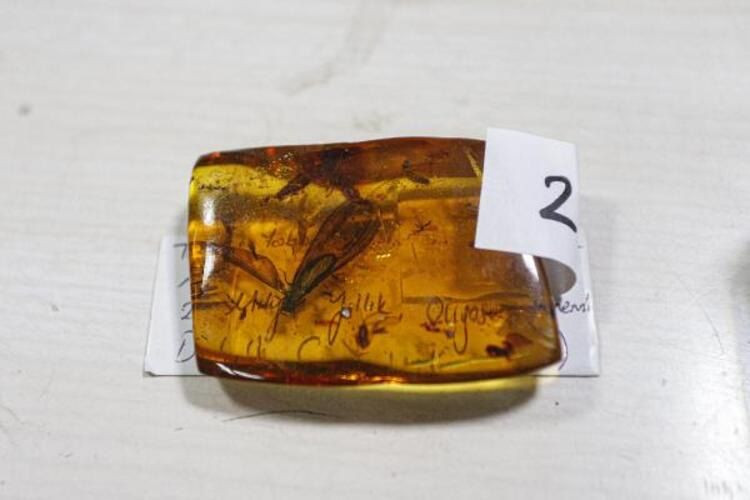 Adnan Oktar'ın kaçak fosilleri ile ilgili dikkat çeken detaylar! - Sayfa 7