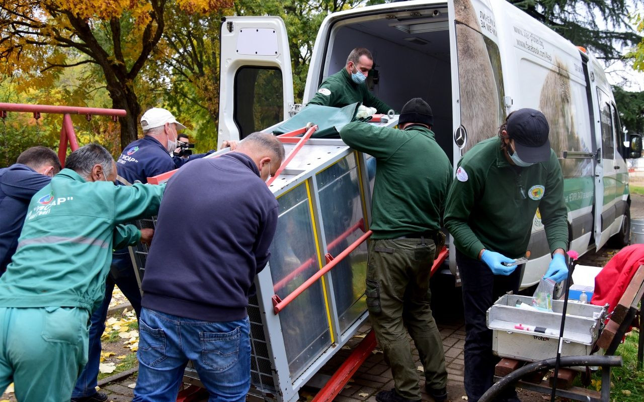 Yeni evine böyle götürdüler - Sayfa 9