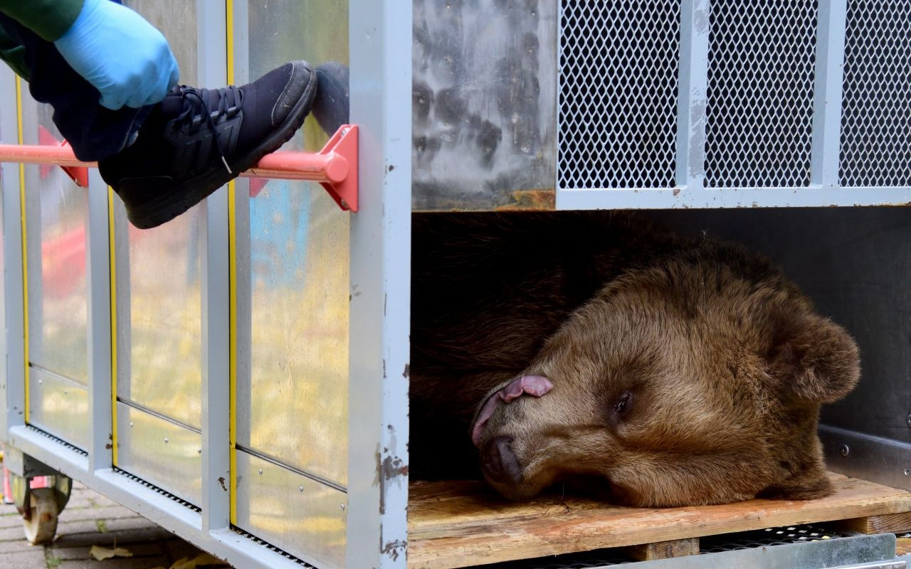 Yeni evine böyle götürdüler - Sayfa 8