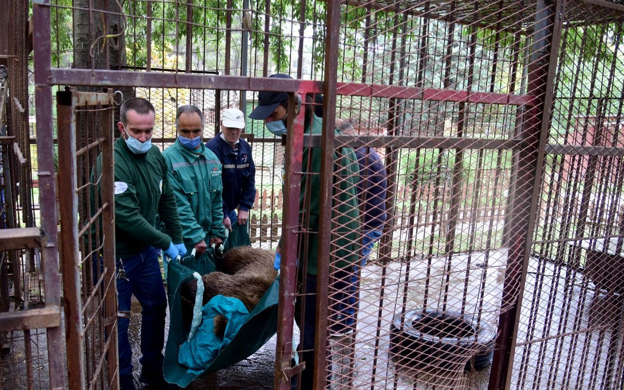 Yeni evine böyle götürdüler - Sayfa 7