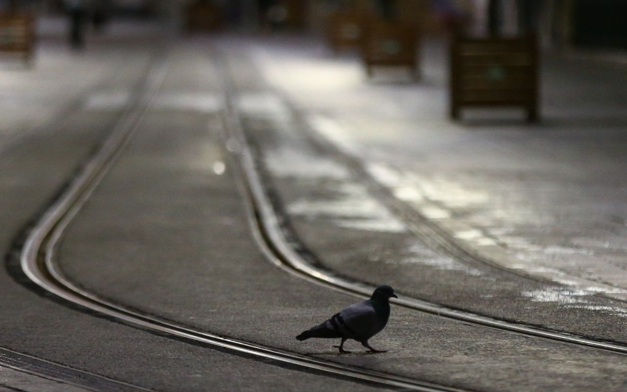 İstanbullu kendisini sokağa attı - Sayfa 13