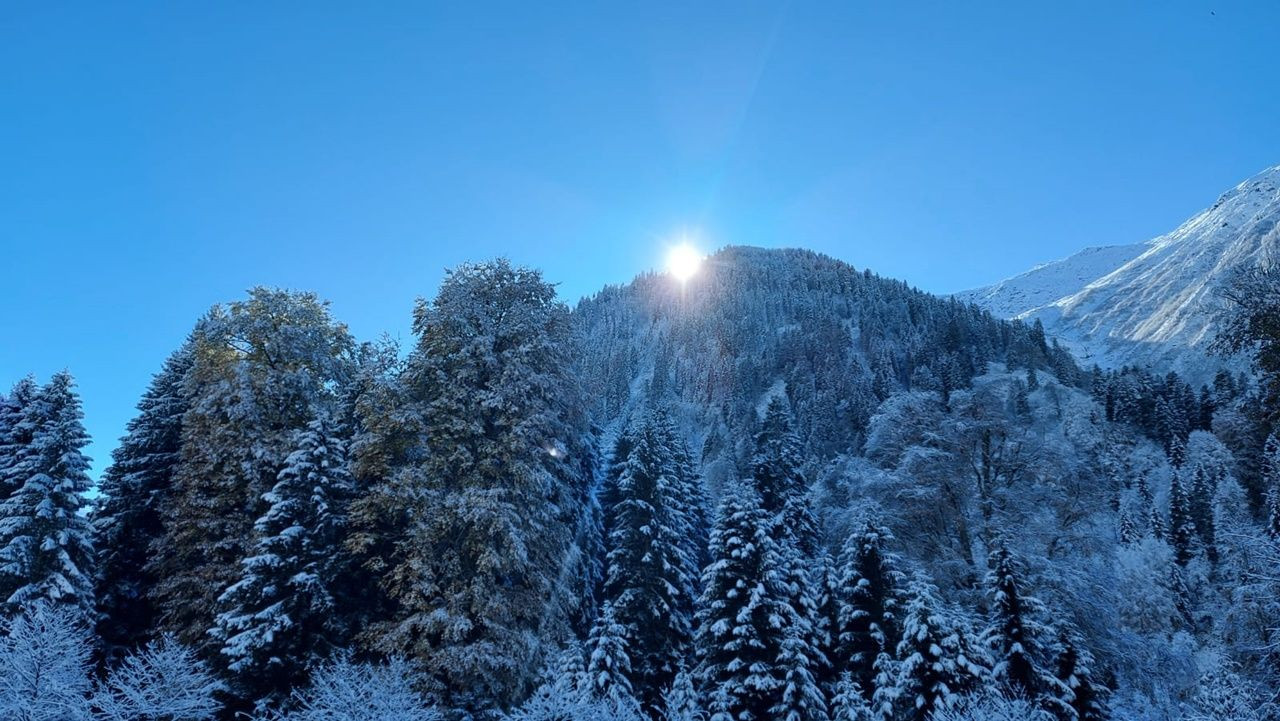 Rize ve Artvin'den kar manzaraları - Sayfa 5