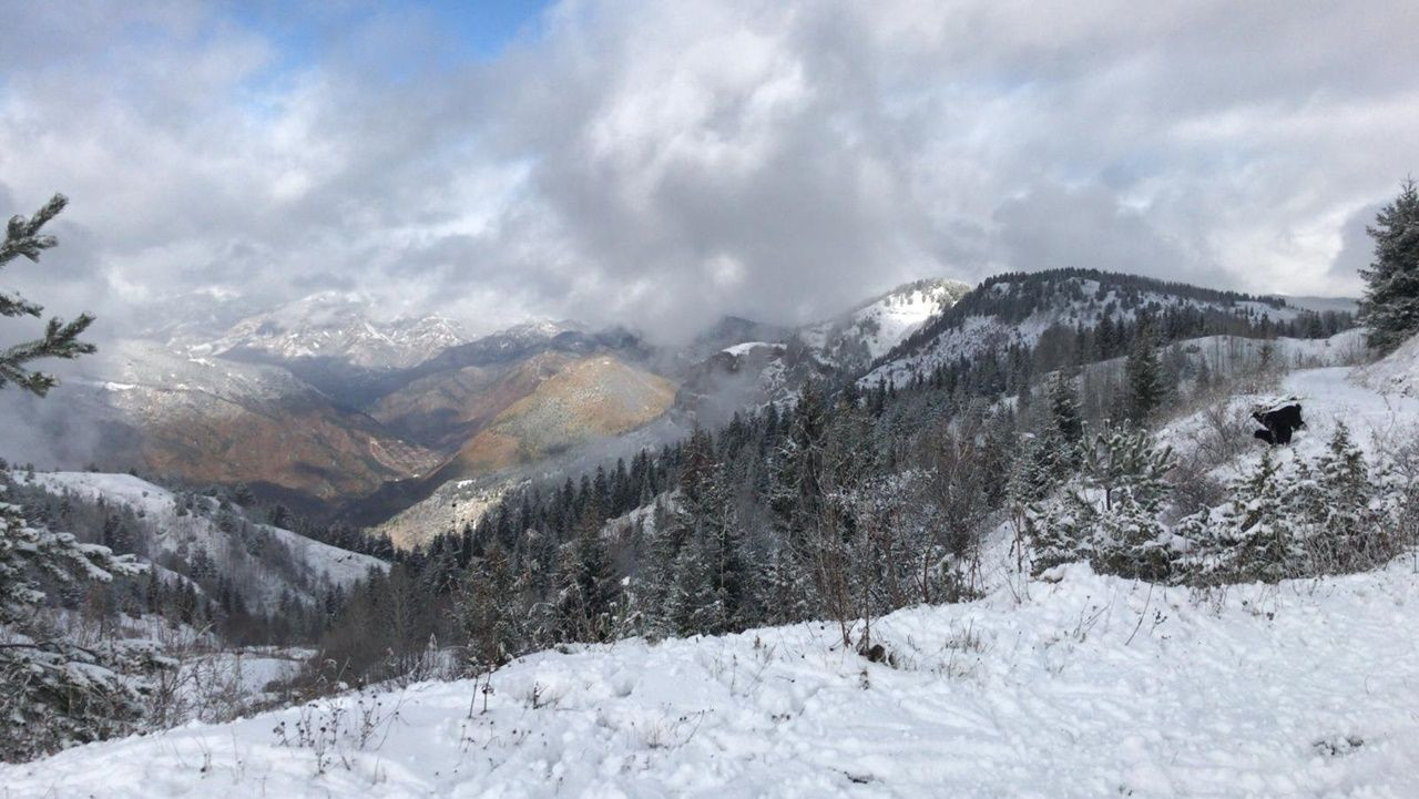 Rize ve Artvin'den kar manzaraları - Sayfa 12