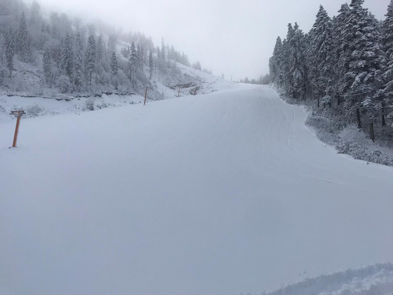 Rize ve Artvin'den kar manzaraları - Sayfa 13