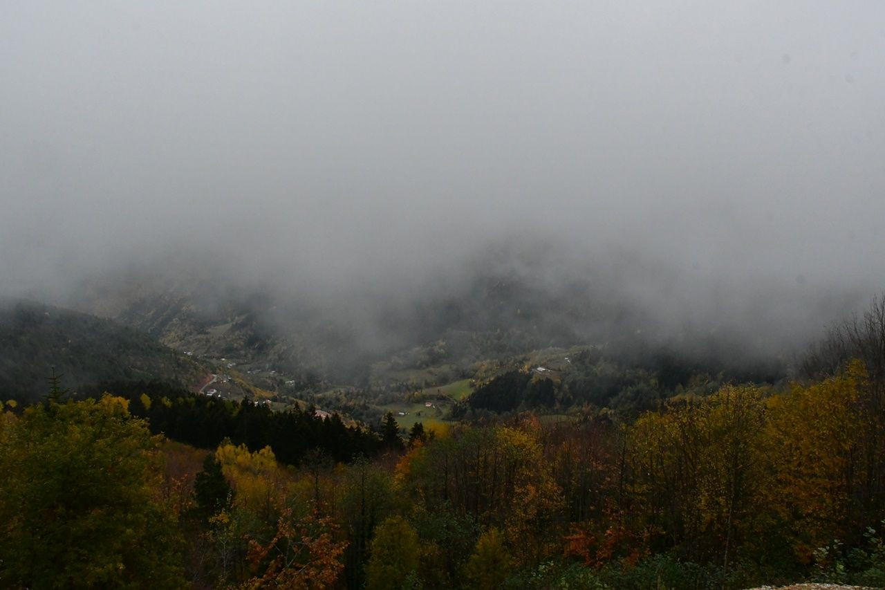 Rize ve Artvin'den kar manzaraları - Sayfa 15