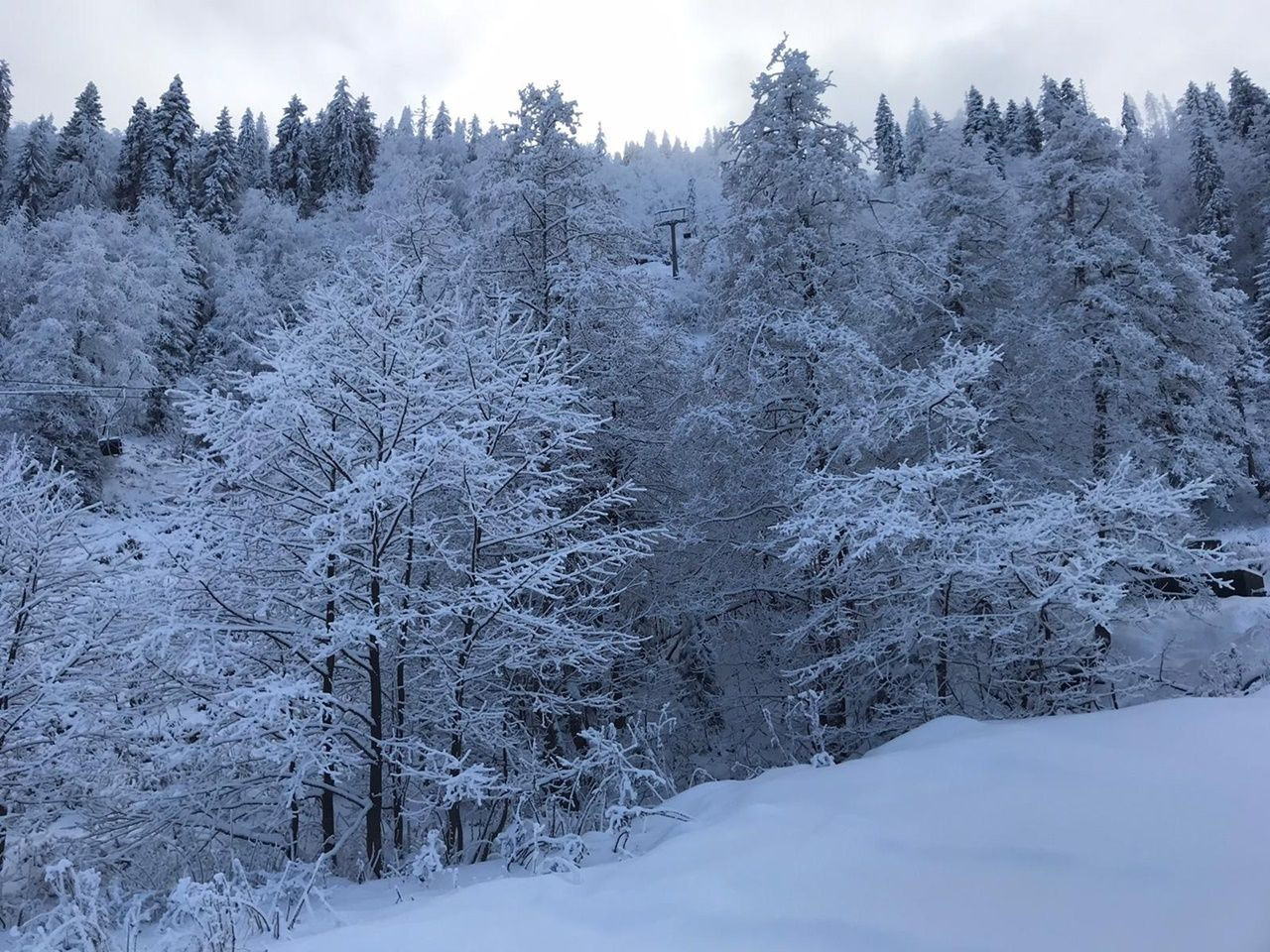 Rize ve Artvin'den kar manzaraları - Sayfa 16