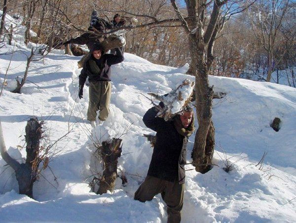 Uyuyan hücreler ve finansörler deşifre oldu - Sayfa 9