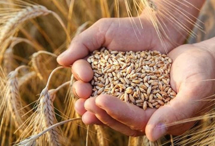 Pandemi sonrası için kıtlık uyarısı! - Sayfa 12