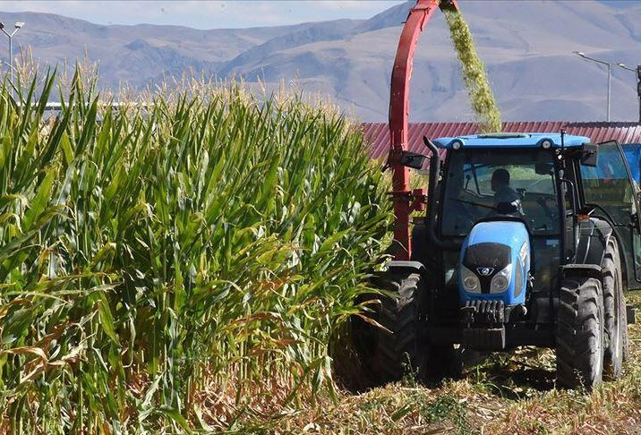 Pandemi sonrası için kıtlık uyarısı! - Sayfa 5