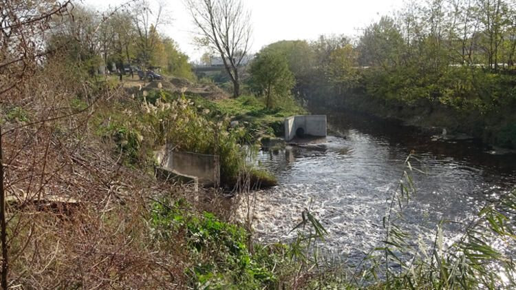 Bursa'da derelere zehir salınıyor! - Sayfa 5