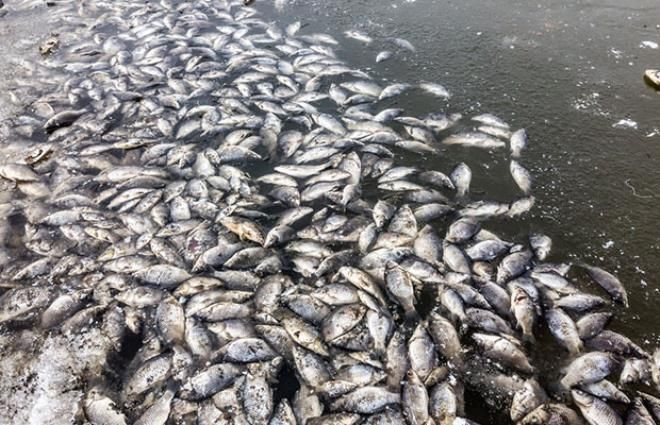 Koronayı bilen Azerbaycanlı kahinden korkutan Türkiye kehaneti - Sayfa 12