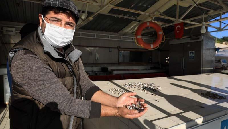 Bakanlık balon balığı kuyruğunun tanesini 5 liradan alıyor! - Sayfa 6