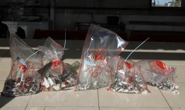 Bakanlık balon balığı kuyruğunun tanesini 5 liradan alıyor! - Sayfa 8