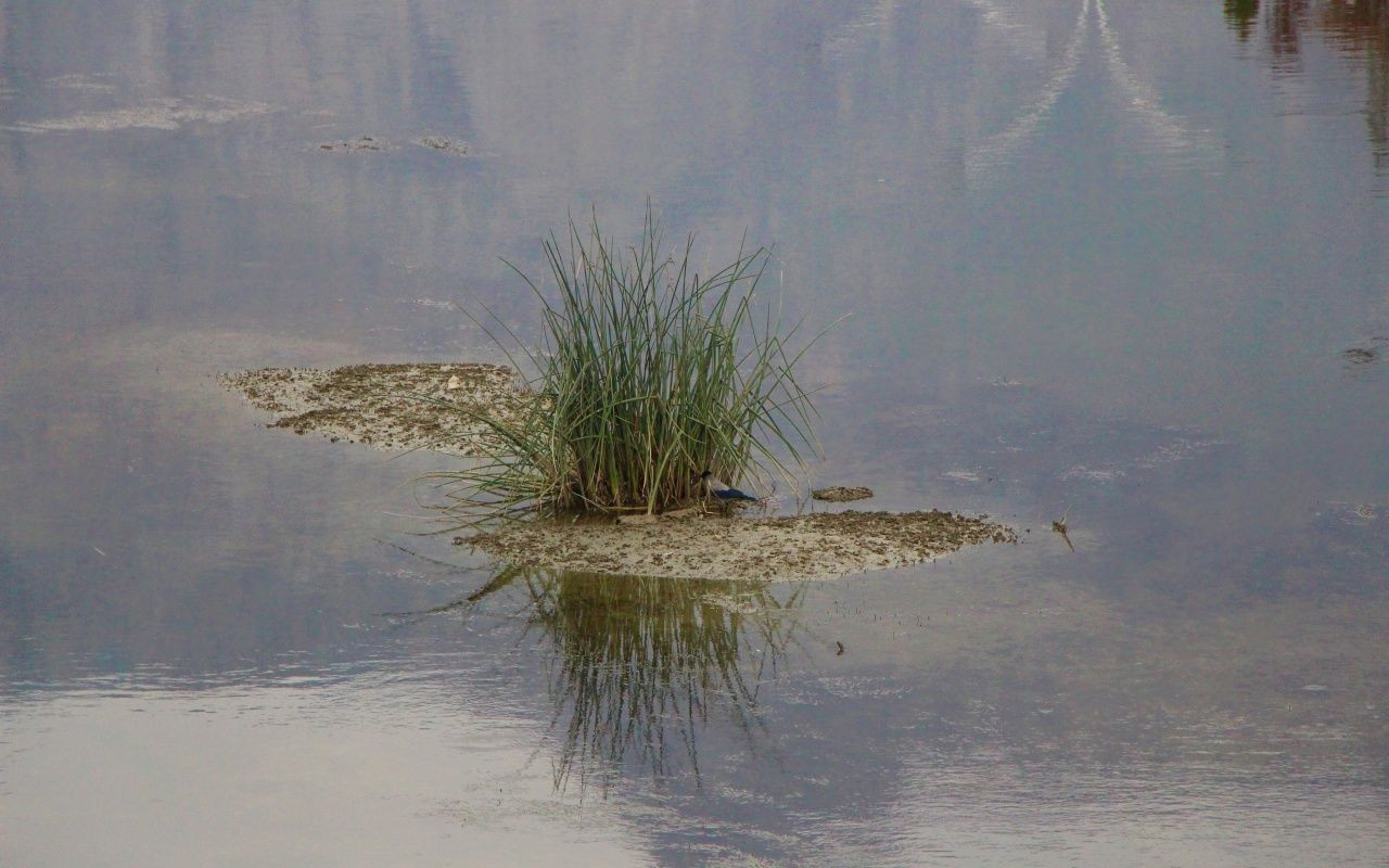 Yeşilırmak da alarm vermeye başladı - Sayfa 8