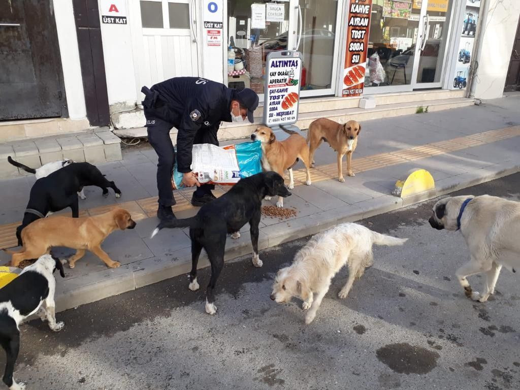 'Sakin şehir'de 3 gündür vaka görülmüyor - Sayfa 10