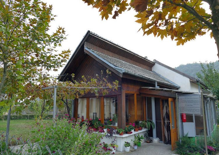 Baba Vanga'nın 2021 tahminleri belli oldu! 2020'den daha kötü... - Sayfa 16