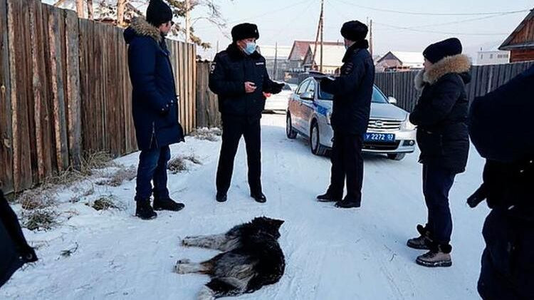 20 yaşındaki Rus güzellik uzmanı vahşi köpeklerin saldırısına uğradı! - Sayfa 6