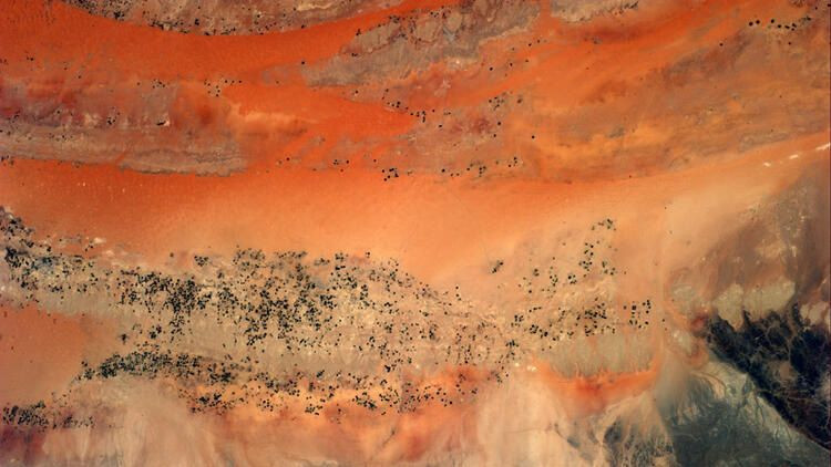 Baba Vanga'nın 2021 tahminleri belli oldu! 2020'den daha kötü... - Sayfa 9