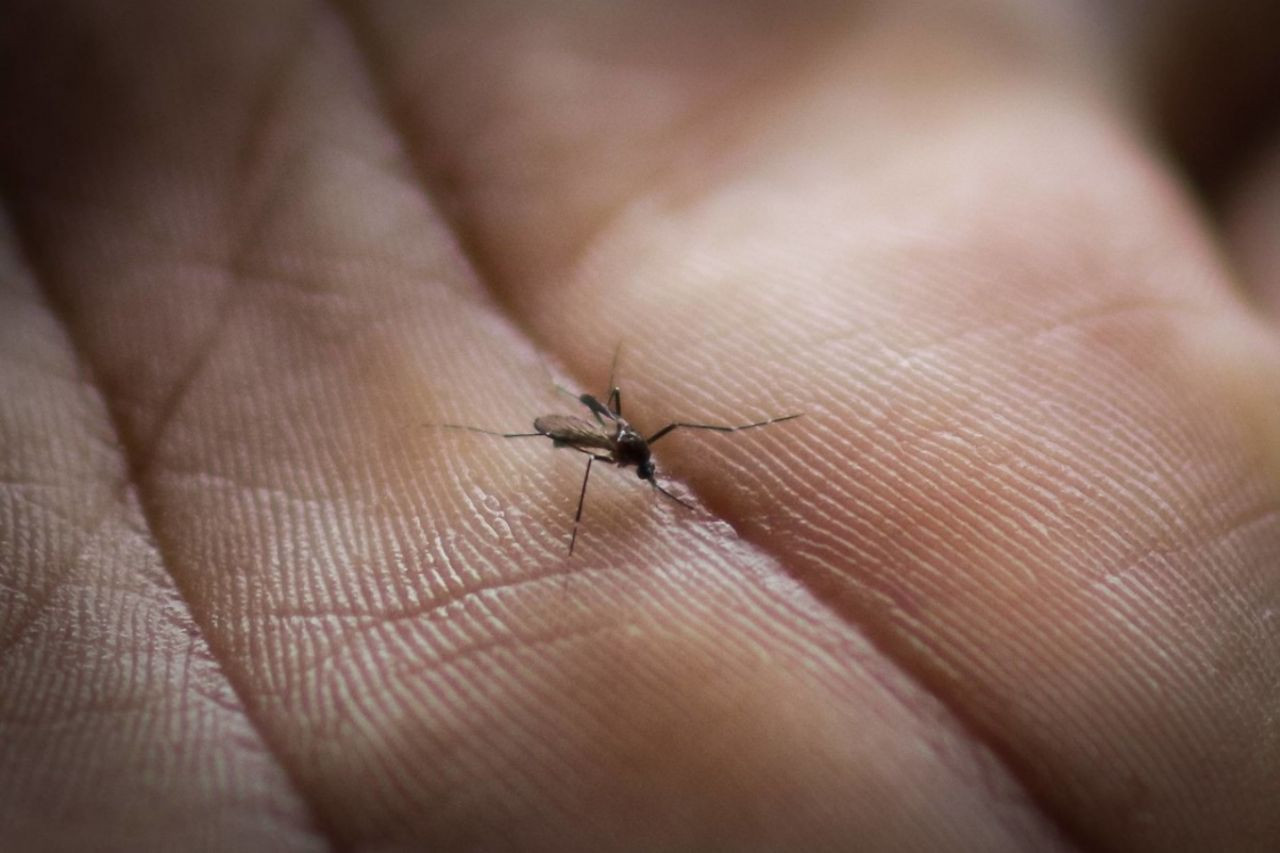 Yeni hastalıklar ortaya çıkabilir! - Sayfa 6