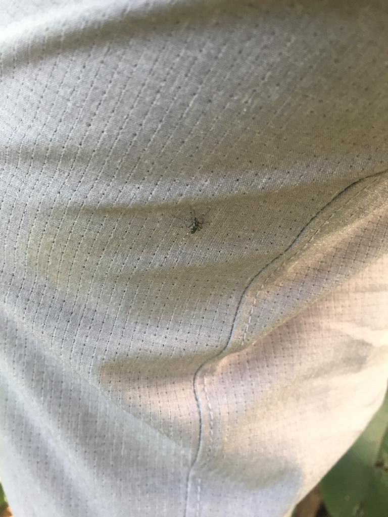 Yeni hastalıklar ortaya çıkabilir! - Sayfa 5