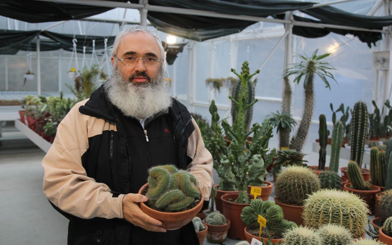 Çay bahçesini söken Rizeli kaktüs yetiştirmeye başladı - Sayfa 6