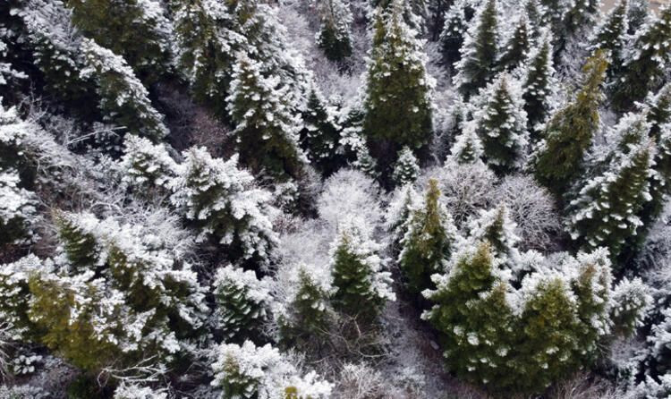 Sert kış ve kar yağışı geliyor - Sayfa 16