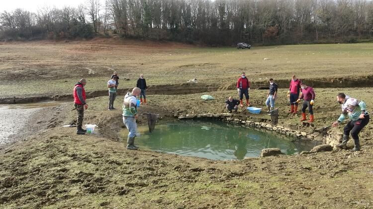Ömerli Barajı'ndaki yavru balıklar için harekete geçtiler! - Sayfa 6