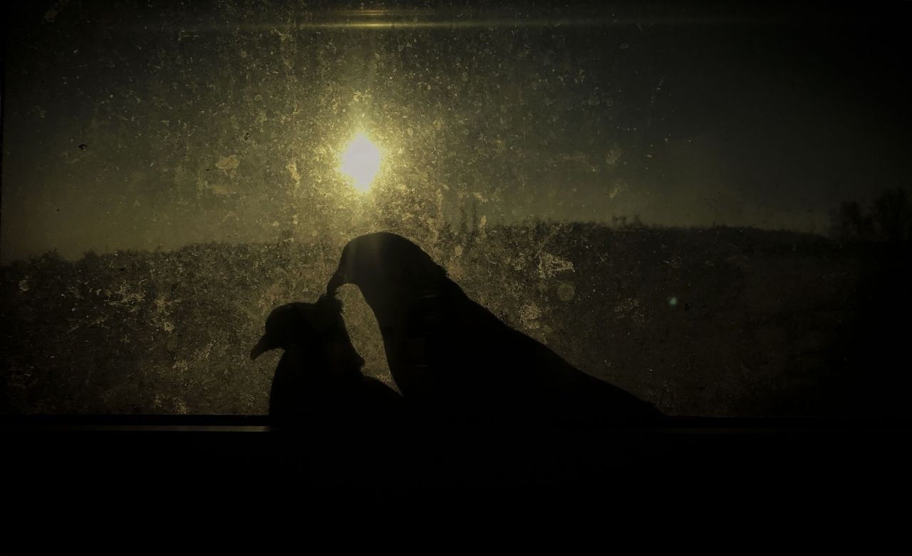 26 günlük Kovid işkencesini fotoğraflarla anlattı - Sayfa 14