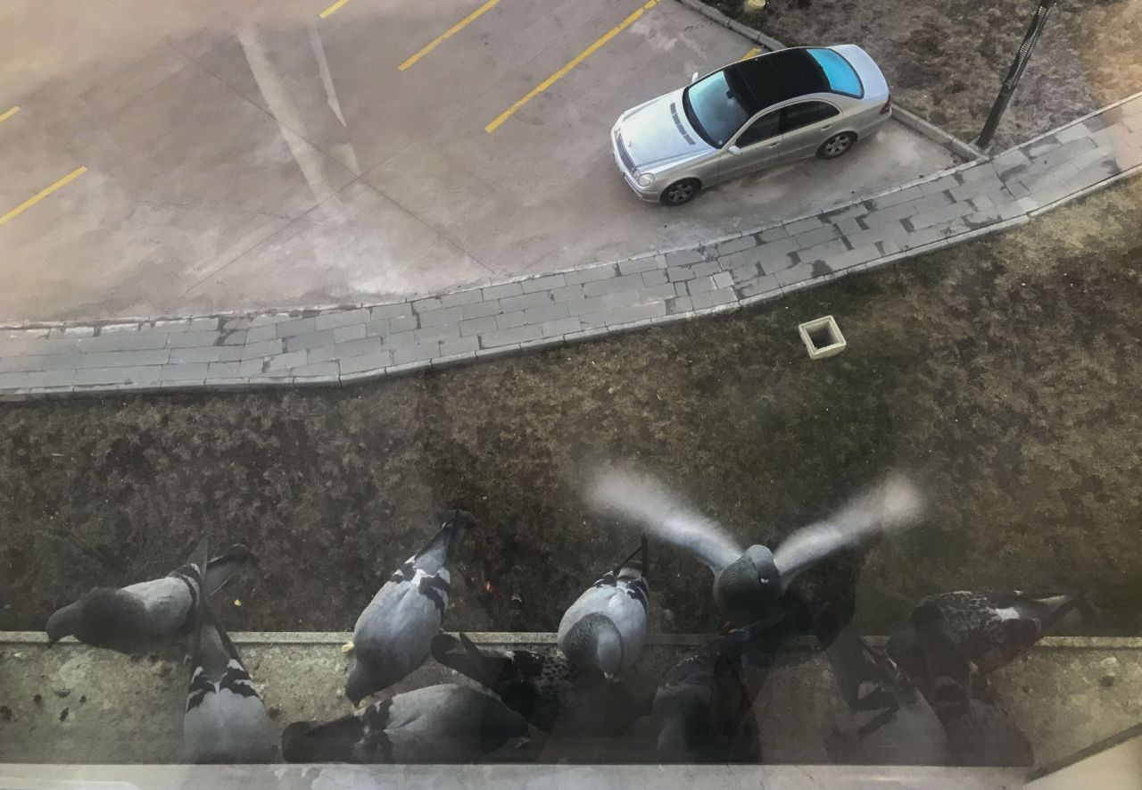 26 günlük Kovid işkencesini fotoğraflarla anlattı - Sayfa 15