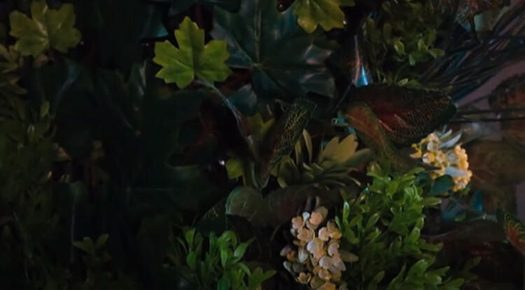 İşte MasterChef Güzide'nin yeni villası! - Sayfa 9