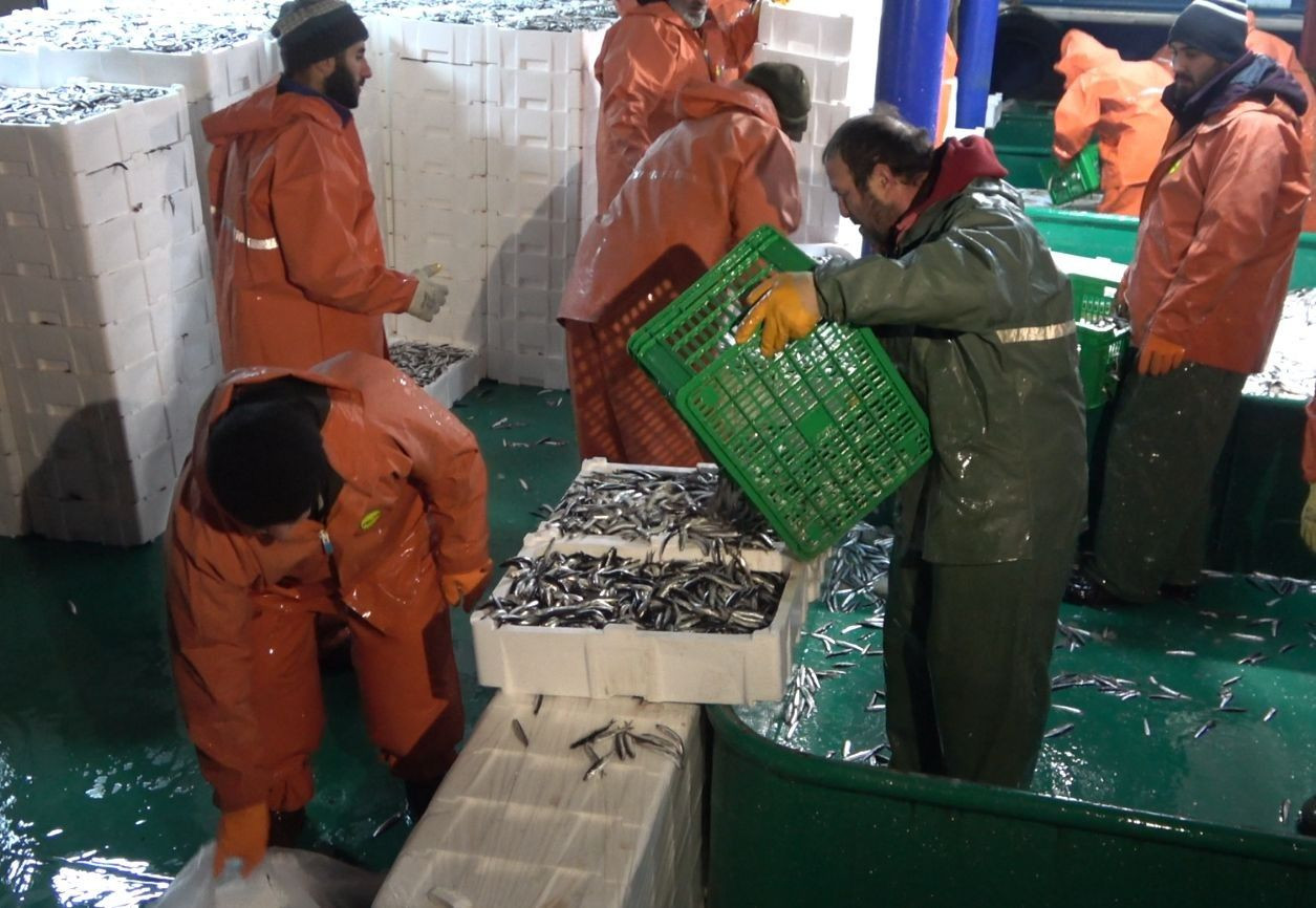 Bereketli olsun! Karadeniz hamsisi 15 TL - Sayfa 7