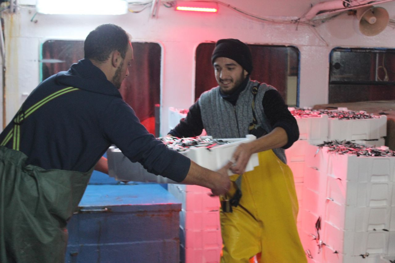 Bereketli olsun! Karadeniz hamsisi 15 TL - Sayfa 5