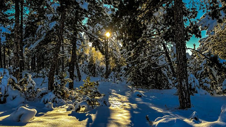 Kar Türkiye'nin büyük kısmı için geri geliyor - Sayfa 13