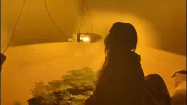 Üstü emlakçı, altı uyuşturucu serası! Polisin operasyonu kamerada... - Sayfa 5