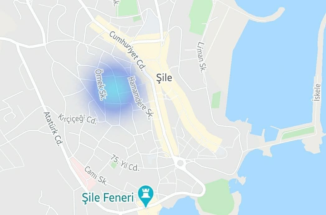 İşte İstanbul'da son vaka yoğunluk durumu - Sayfa 36