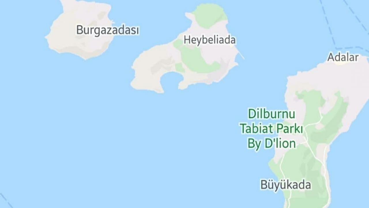 İşte İstanbul'da son vaka yoğunluk durumu - Sayfa 7