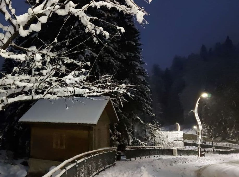 Ayder Yaylası'nda muhteşem görüntüler - Sayfa 10